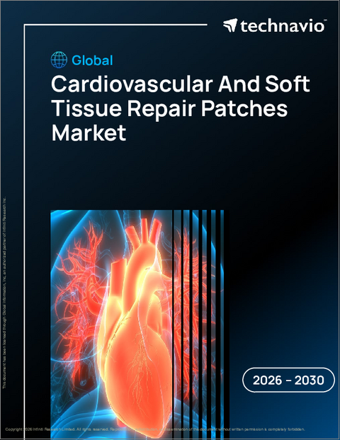 表紙：世界の心血管および軟組織修復パッチ市場2026-2030年
