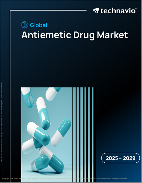 表紙：世界の制吐剤市場2025-2029年