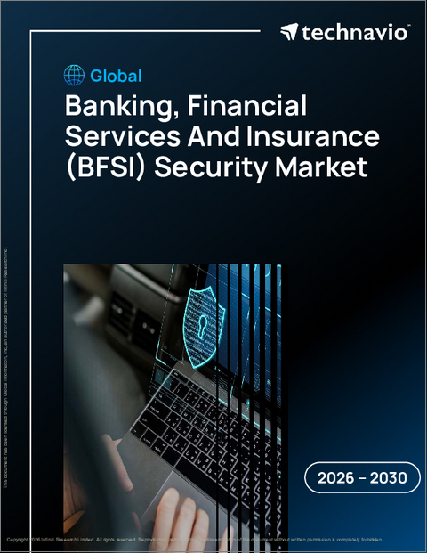 表紙：世界の銀行・金融サービス・保険（BFSI）セキュリティ市場2026-2030年