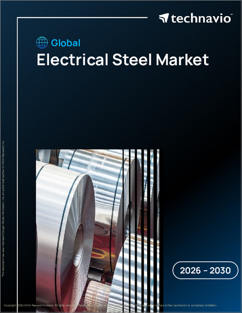 表紙：世界の電磁鋼板市場2026-2030年