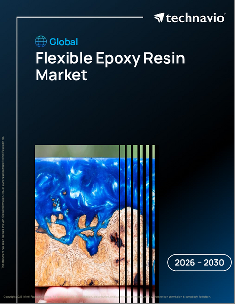 表紙：世界のフレキシブルエポキシ樹脂市場2026-2030年