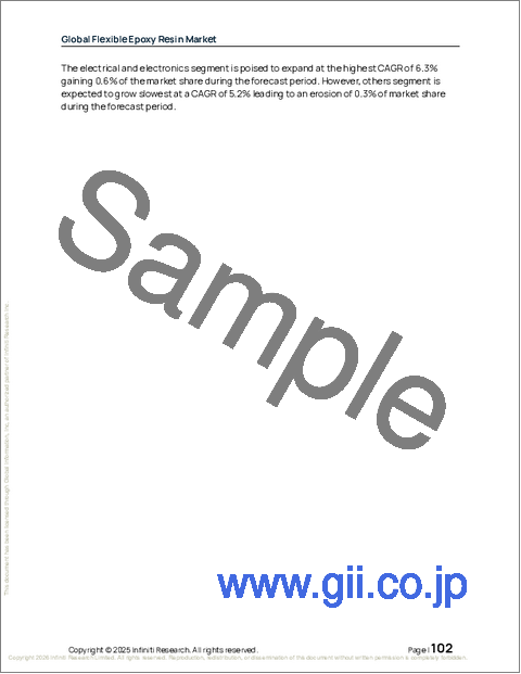サンプル2：世界のフレキシブルエポキシ樹脂市場2026-2030年