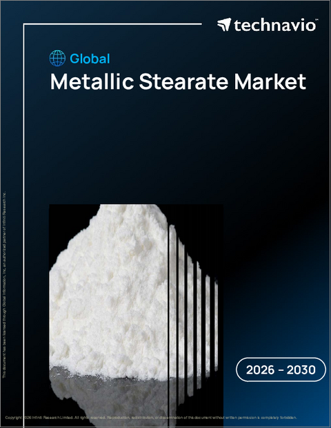 表紙：世界の金属ステアリン酸塩市場2026-2030年
