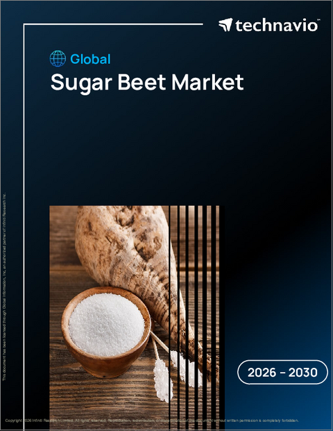 表紙：世界のテンサイ市場2026-2030年