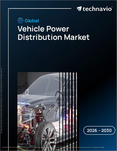 表紙：世界の車両用電力分配市場2026-2030年