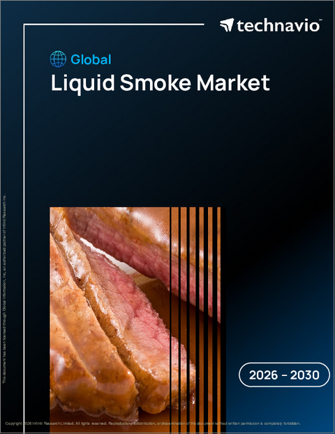 表紙：リキッドスモークの世界市場、2026年～2030年