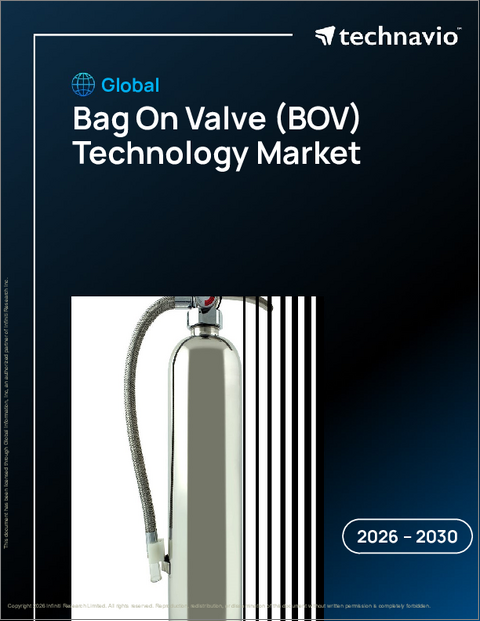 表紙：バルブオンバッグ（BOV）技術の世界市場 2026-2030年