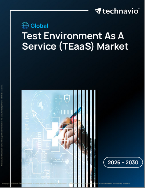表紙：TEaaS（Test Environment As A Service）の世界市場、2026年～2030年
