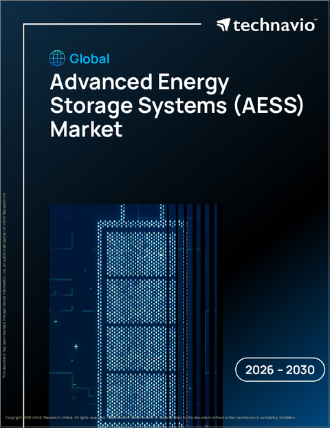 表紙:世界の先進的エネルギー貯蔵システム(AESS)市場2026-2030年