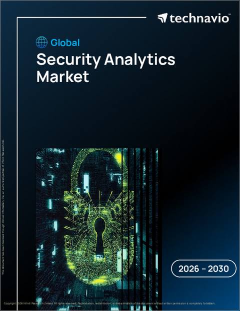 表紙：世界のセキュリティ分析市場2026-2030年