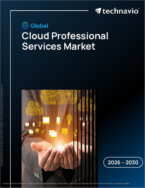 表紙：クラウドプロフェッショナルサービスの世界市場 2026-2030年