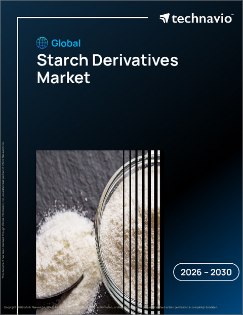 表紙：世界の澱粉誘導体市場2026-2030年