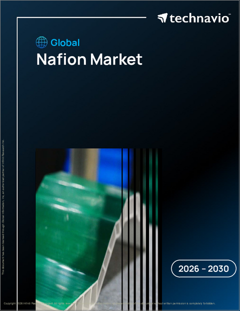 表紙：世界のナフィオン市場2026-2030年