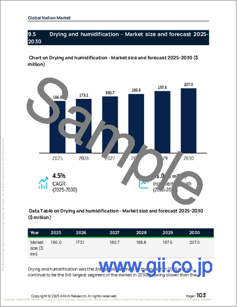 サンプル2：世界のナフィオン市場2026-2030年