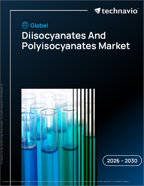 表紙：世界のジイソシアネート及びポリイソシアネート市場2026-2030年