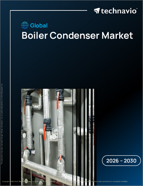 表紙：世界のボイラー用凝縮器市場2026-2030年