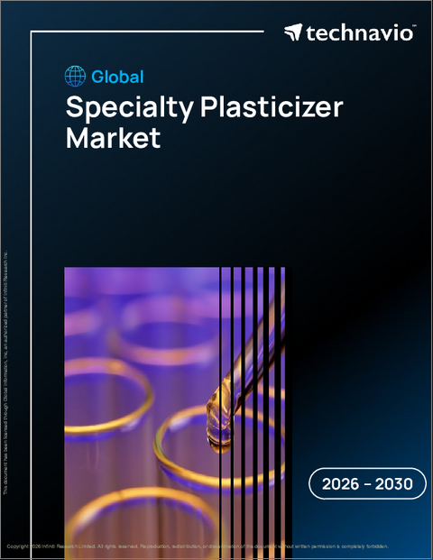 表紙：世界の特殊可塑剤市場2026-2030年