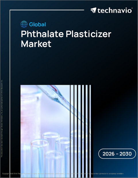 表紙：世界のフタル酸系可塑剤市場2026-2030年