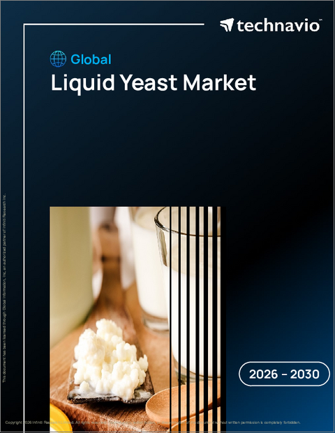 表紙：世界の液体酵母市場2026-2030年