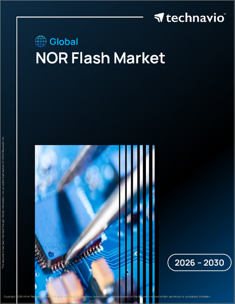 表紙：世界のNORフラッシュ市場2026-2030年