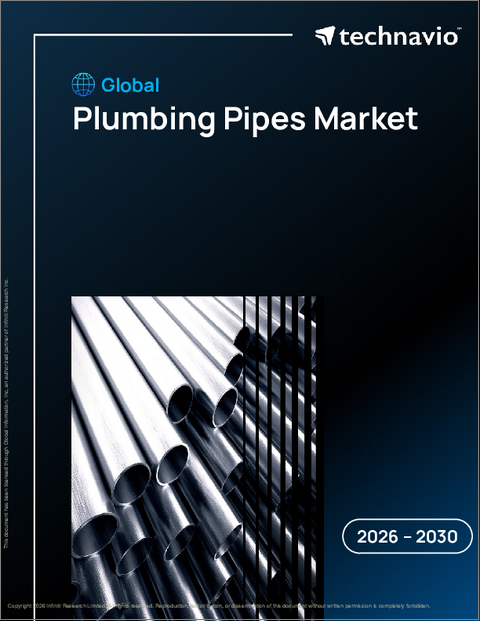 表紙:配管パイプの世界市場、2026年~2030年