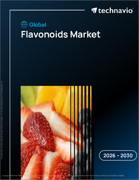 表紙：世界のフラボノイド市場2026-2030年
