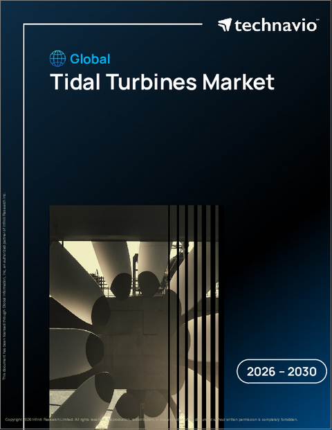 表紙：潮力タービンの世界市場、2026年～2030年