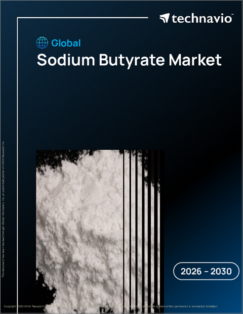表紙：世界の酪酸ナトリウム市場2026-2030年