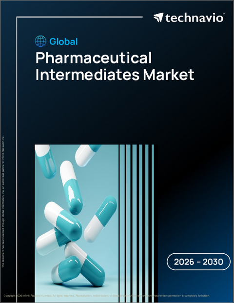 表紙：世界の医薬品中間体市場2026-2030年