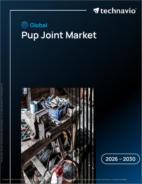 表紙：世界の関節軟骨市場2026-2030年