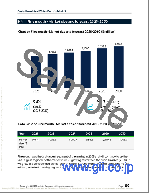 サンプル2：世界の断熱水筒市場2026-2030年