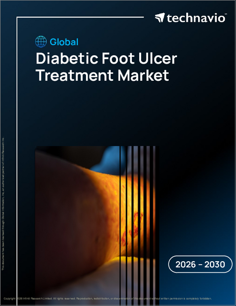 表紙：世界の糖尿病性足潰瘍治療市場2026-2030年