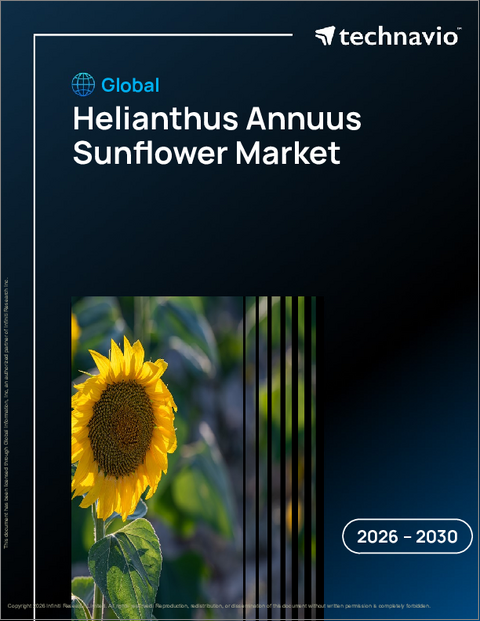 表紙：世界のヒマワリ市場（2026年～2030年）