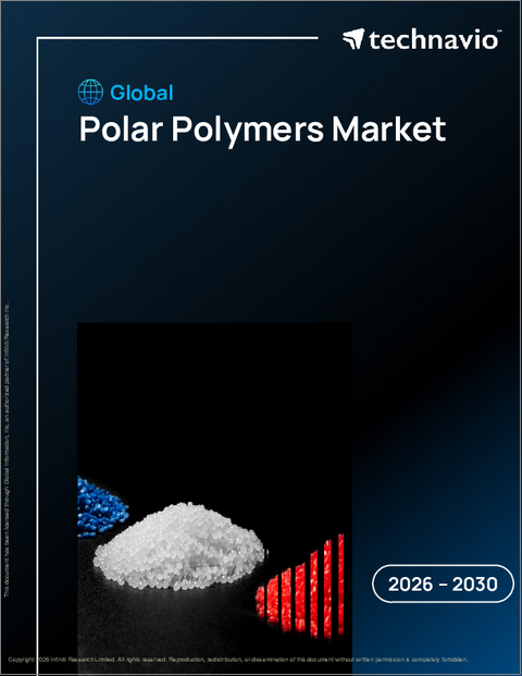 表紙:極性ポリマーの世界市場、2026年~2030年