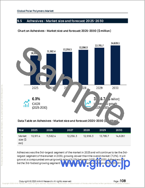 サンプル2:極性ポリマーの世界市場、2026年~2030年