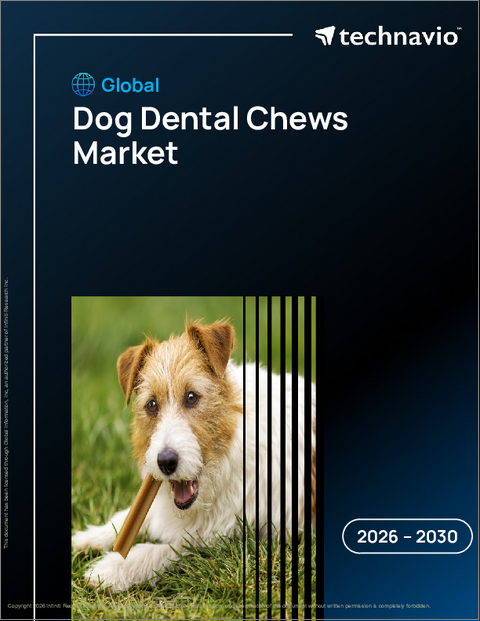 表紙：世界の犬用デンタルチュー市場2026-2030年