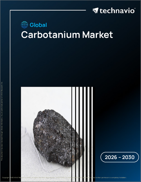 表紙：カーボタニウムの世界市場、2026年～2030年