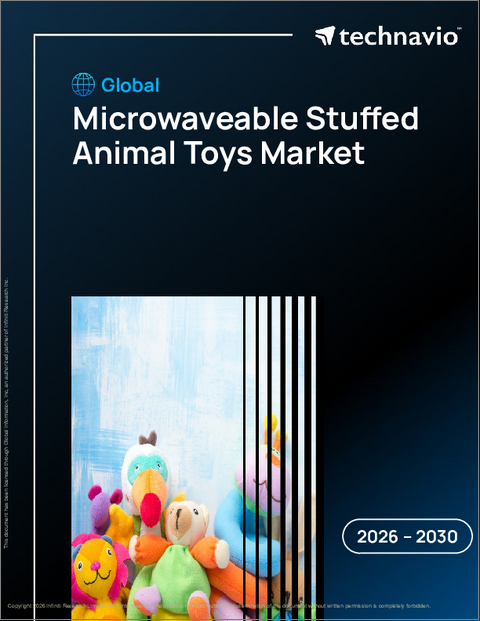 表紙：世界の電子レンジ対応ぬいぐるみ玩具市場2026-2030年