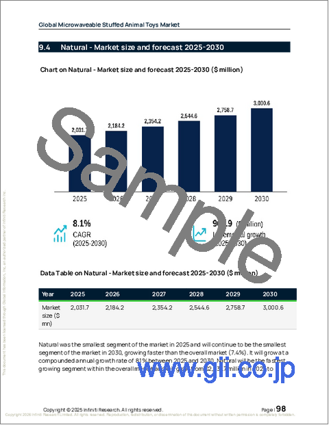 サンプル2：世界の電子レンジ対応ぬいぐるみ玩具市場2026-2030年