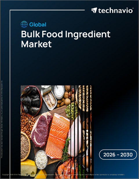 表紙：世界のバルクフーズ原料市場2026-2030年