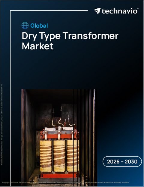 表紙：世界の乾式変圧器市場2026-2030年