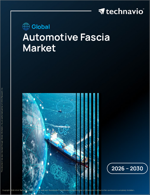 表紙：世界の自動車用フェイシア市場2026-2030年