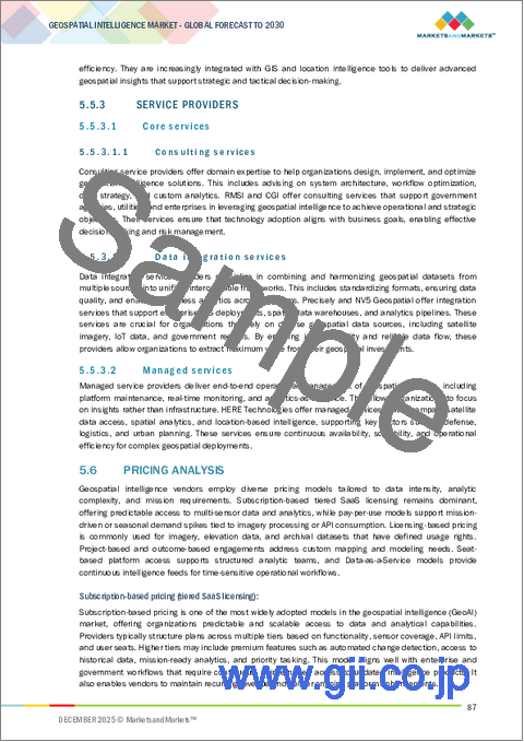 サンプル1：地理空間インテリジェンスの世界市場：地理空間AI、地理空間アナリティクス、取得システム、技術 - 予測（～2030年）