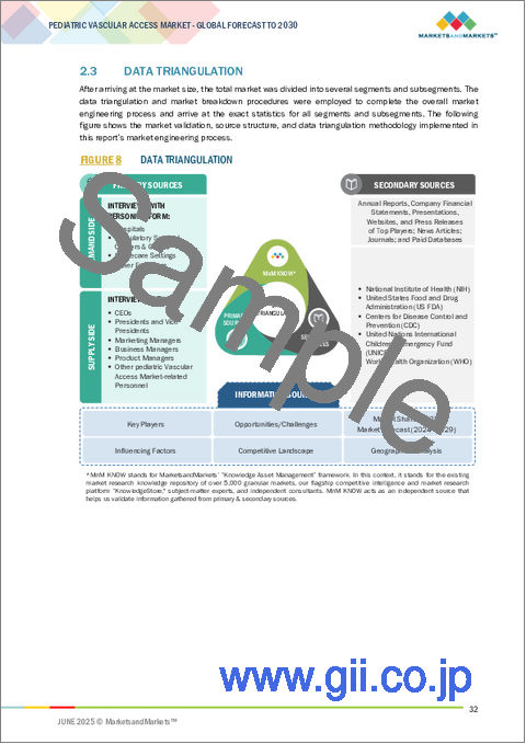 サンプル1：小児用バスキュラーアクセスの世界市場：タイプ別、用途別、エンドユーザー別 - 予測（～2030年）