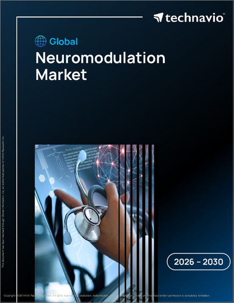 表紙：世界のニューロモデュレーション市場2026-2030年