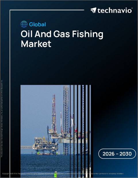 表紙：世界の石油・ガス漁業市場2026-2030年