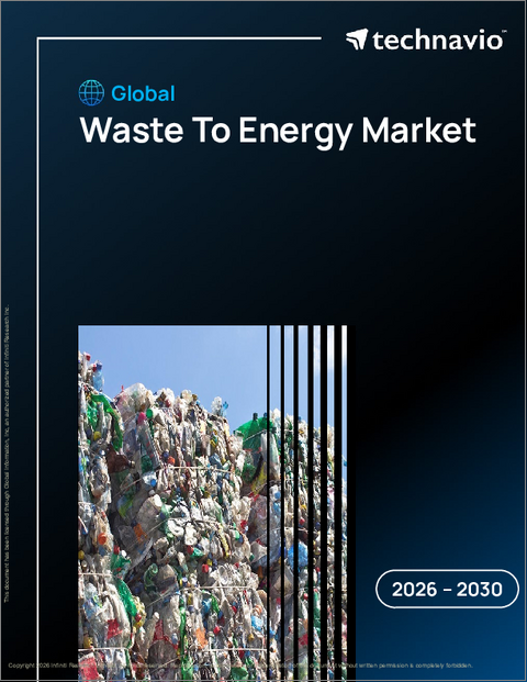 表紙：世界の廃棄物エネルギー化市場2026-2030年