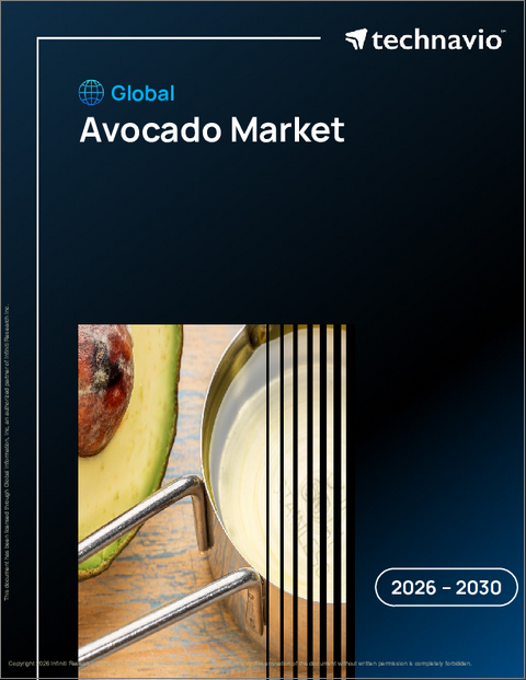 表紙：世界のアボカド市場2026-2030年