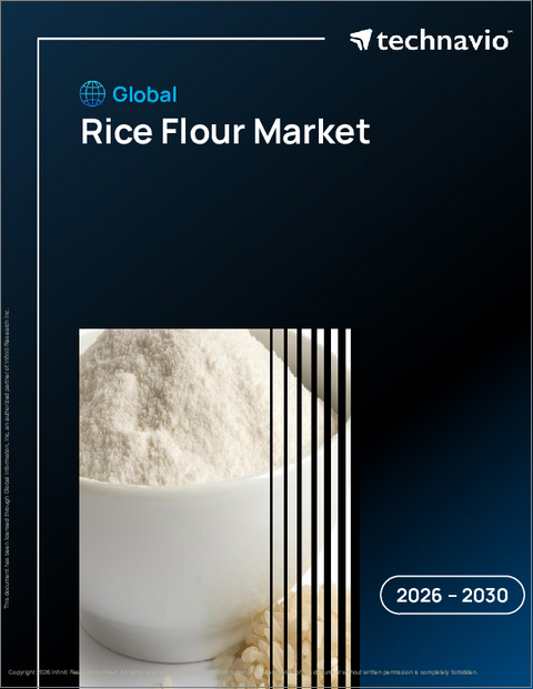表紙：世界の米粉市場2026-2030年