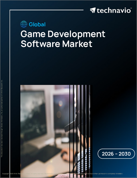 表紙：世界のゲーム開発ソフトウェア市場2026-2030年